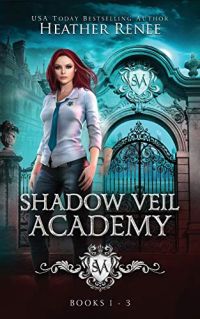 Shadow Veil Academy cover