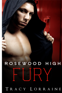 Rosewood High - Fury : German Translation cover
