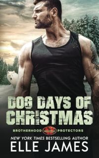Dog Days of Christmas cover