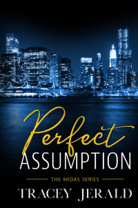 Perfect Assumption cover