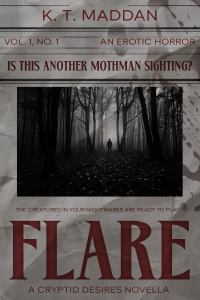 Flare cover