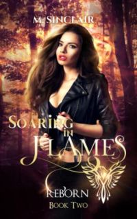 Soaring In Flames cover