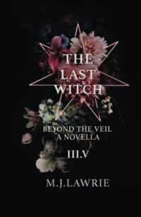 The Last Witch cover