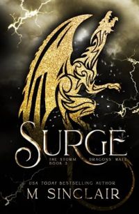 Surge cover