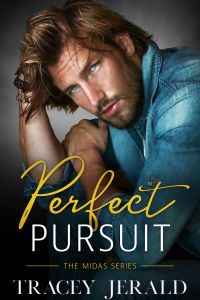 Perfect Pursuit cover