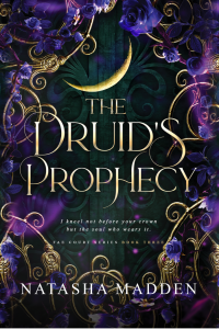 The Druids Prophecy cover