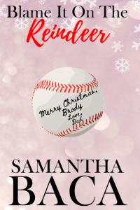 Blame It On The Reindeer cover