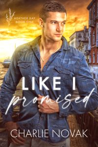 Like I Promised cover