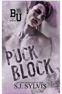 Puck Block cover