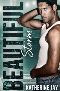 Beautiful Storm cover