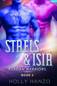 Strels & Isir cover