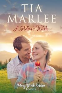 A Soldier's Wish cover