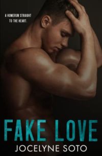 Fake Love cover