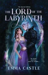 The Lord of the Labyrinth cover