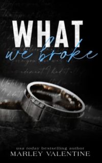 What We Broke cover