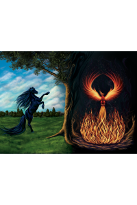 Hidden Elements cover