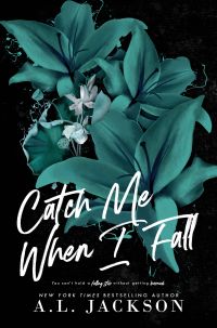 Catch Me When I Fall cover