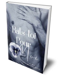 Bats-toi Pour Moi cover