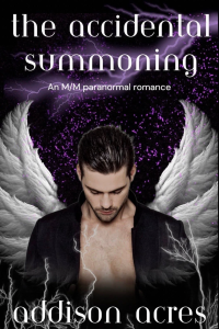 The Accidental Summoning cover
