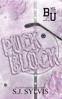 Puck Block cover