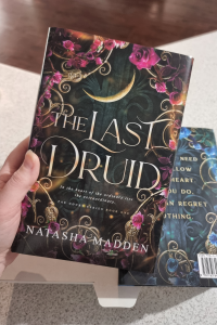 The Last Druid cover