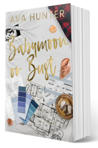 Babymoon or Bust cover