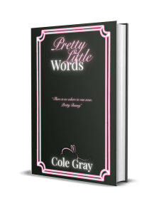 Pretty Little Words cover