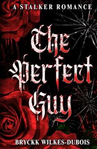 The Perfect Guy: A Stalker Romance cover