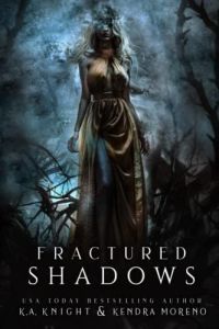 Fractured Shadows cover