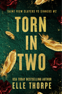 Torn In Two (Discreet) cover