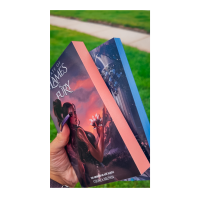 A Fate of Flames & Fury cover