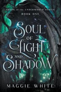 Soul of Light and Shadow cover