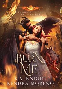 Burn Me cover