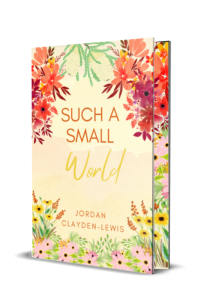 Such a Small World cover