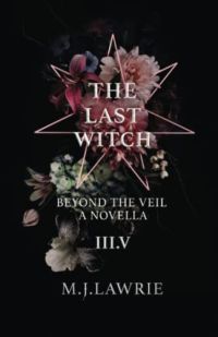 The Last Witch cover