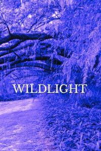 WILDLIGHT cover