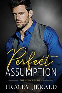 Perfect Assumption cover