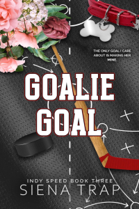 Goalie Goal cover