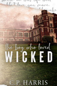 The Boy Who Loved Wicked cover