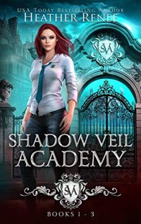 Shadow Veil Academy cover
