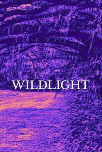 WILDLIGHT cover