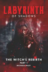 LABYRINTH OF SHADOWS cover