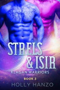 Strels & Isir cover