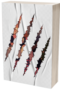 Shifted Desire cover