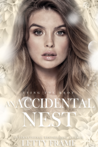 An Accidental Nest cover