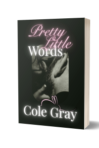 Pretty Little Words cover
