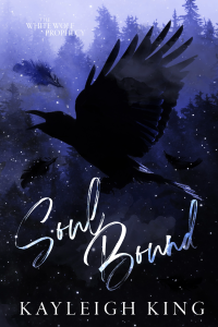 Soul Bound cover