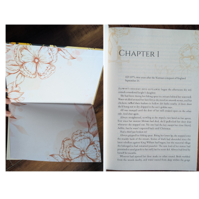Healer's Blade Foiled Hardcover & Colored Illustrations