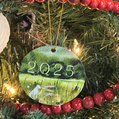 The Ballad of Us Christmas Ornament “2026”