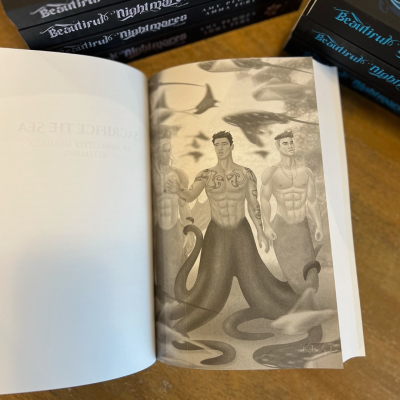 Beautiful Nightmares Two-Volume Omnibus Bundle